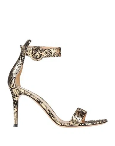 Gianvito Rossi Woman Sandals Gold Size 6 Leather In Animal Print