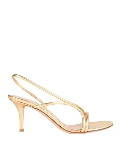 Gianvito Rossi Woman Sandals Gold Size 8 Leather