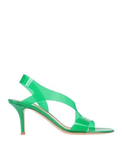 Gianvito Rossi Woman Sandals Green Size 7.5 Rubber