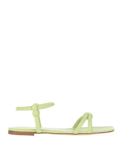 Gianvito Rossi Woman Sandals Green Size 8 Leather