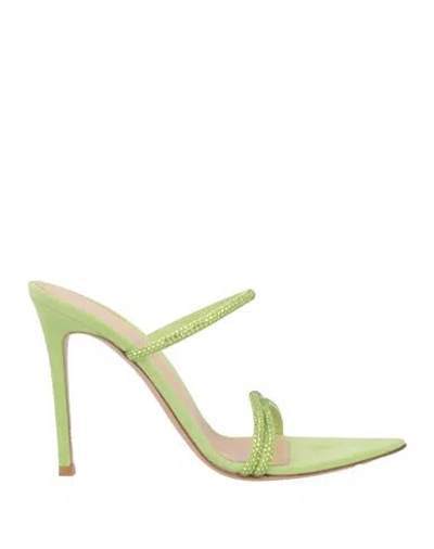 Gianvito Rossi Woman Sandals Light Green Size 8 Leather