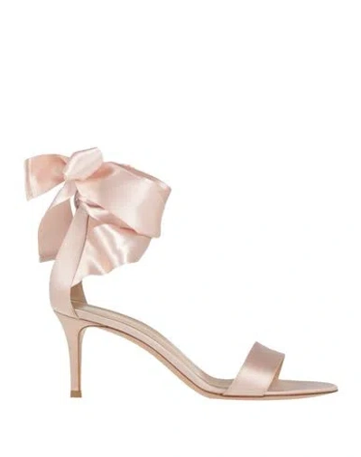 Gianvito Rossi Woman Sandals Light Pink Size 6 Textile Fibers In Pink