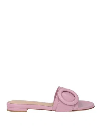 Gianvito Rossi Woman Sandals Light Pink Size 8 Leather In Purple