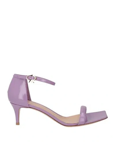 Gianvito Rossi Woman Sandals Lilac Size 8 Leather In Multi