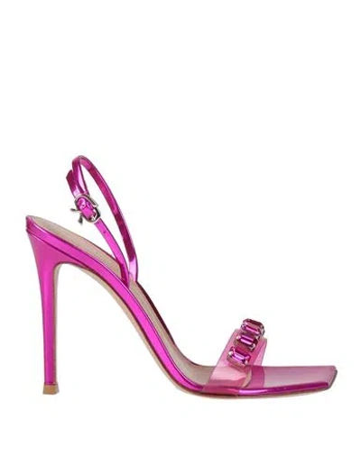 Gianvito Rossi Woman Sandals Magenta Size 10 Soft Leather, Plastic