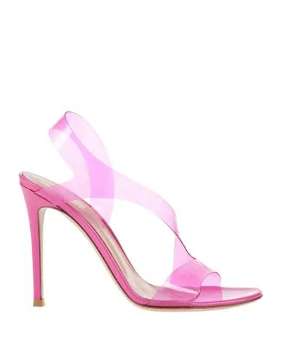 Gianvito Rossi Woman Sandals Magenta Size 6.5 Rubber In Pink