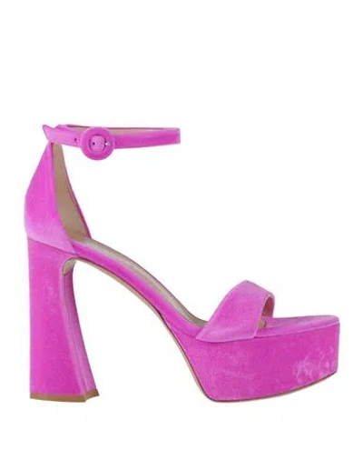 Gianvito Rossi Woman Sandals Magenta Size 8 Leather