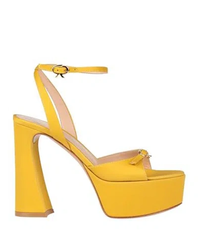 Gianvito Rossi Woman Sandals Marigold Size 5 Textile Fibers In Multi