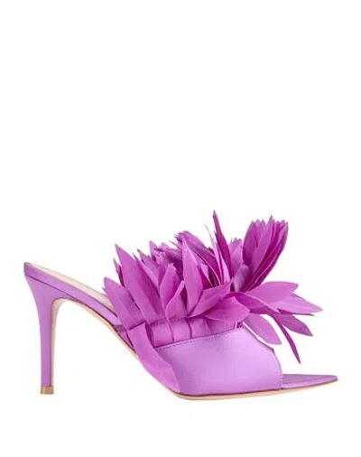 Gianvito Rossi Woman Sandals Mauve Size 8 Textile Fibers In Purple
