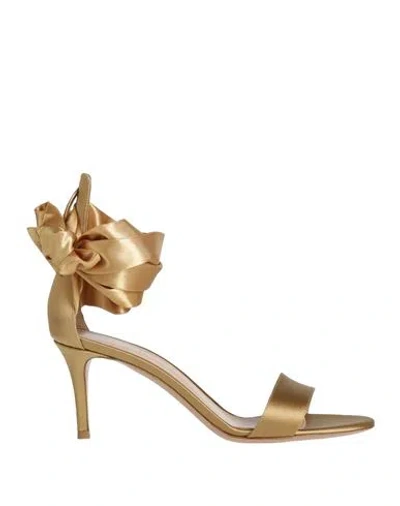Gianvito Rossi Woman Sandals Mustard Size 8 Textile Fibers In Yellow