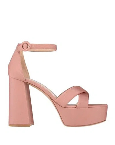 Gianvito Rossi Woman Sandals Pastel Pink Size 10 Textile Fibers In Multi
