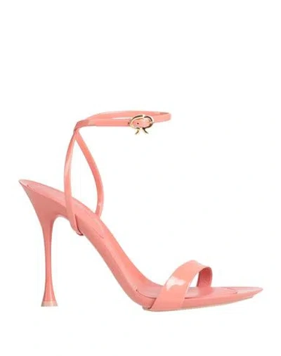 Gianvito Rossi Woman Sandals Pastel Pink Size 8 Leather