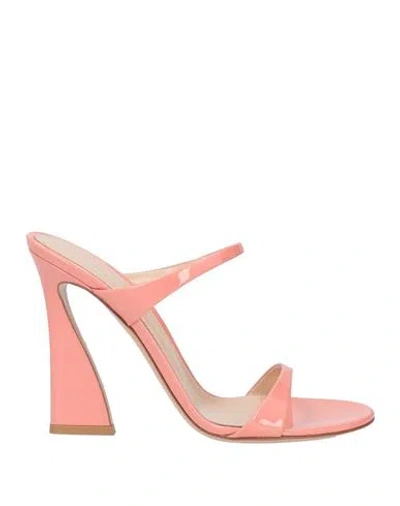 Gianvito Rossi Woman Sandals Pastel Pink Size 8 Leather
