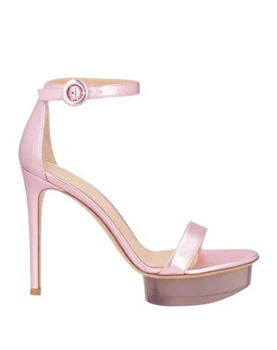 Gianvito Rossi Woman Sandals Pink Size 7.5 Leather In Gray