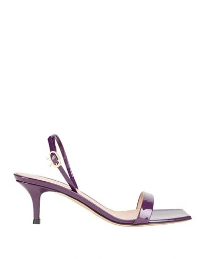 Gianvito Rossi Woman Sandals Purple Size 7 Leather