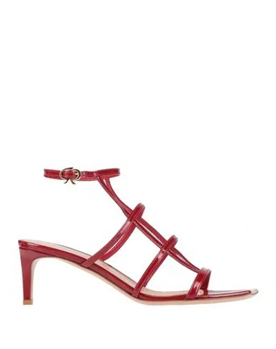 Gianvito Rossi Woman Sandals Red Size 10.5 Leather