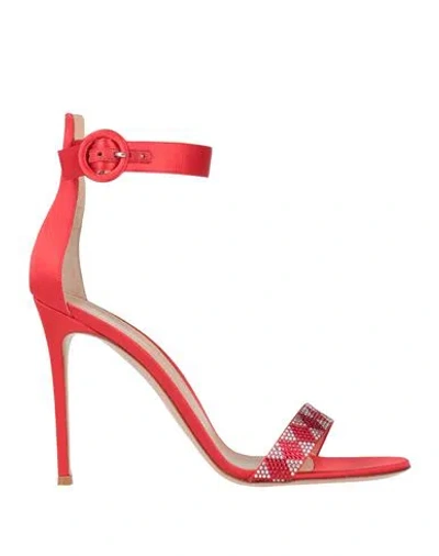 Gianvito Rossi Woman Sandals Red Size 12 Textile Fibers