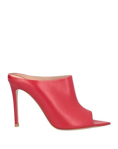 Gianvito Rossi Woman Sandals Red Size 7.5 Leather
