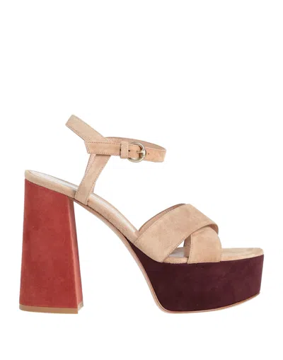 Gianvito Rossi Sandals In Beige