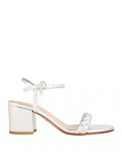 Gianvito Rossi Woman Sandals Silver Size 6 Leather