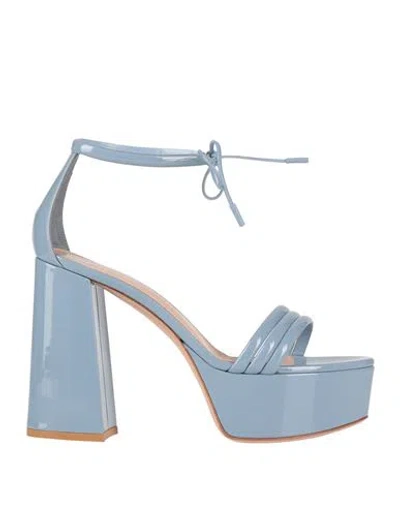 Gianvito Rossi Woman Sandals Sky Blue Size 8 Leather