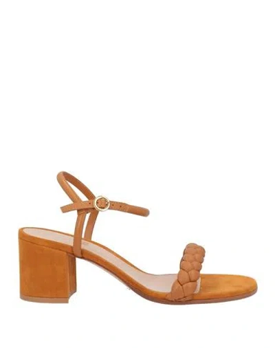 Gianvito Rossi Woman Sandals Tan Size 6.5 Leather