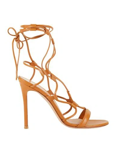 Gianvito Rossi Woman Sandals Tan Size 6.5 Leather In Gray