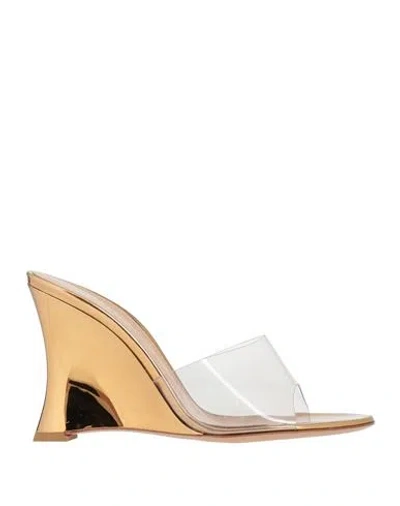 Gianvito Rossi Woman Sandals Transparent Size 5.5 Plastic