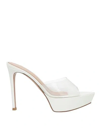 Gianvito Rossi Woman Sandals Transparent Size 8 Leather, Pvc - Polyvinyl Chloride