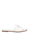 Gianvito Rossi Woman Sandals White Size 11 Calfskin