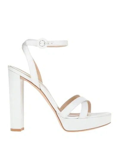 Gianvito Rossi Woman Sandals White Size 11 Calfskin