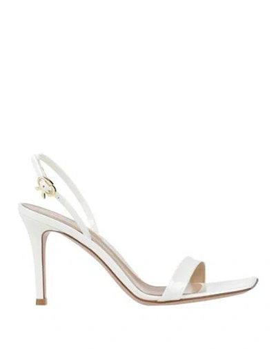 Gianvito Rossi Woman Sandals White Size 5 Soft Leather In White