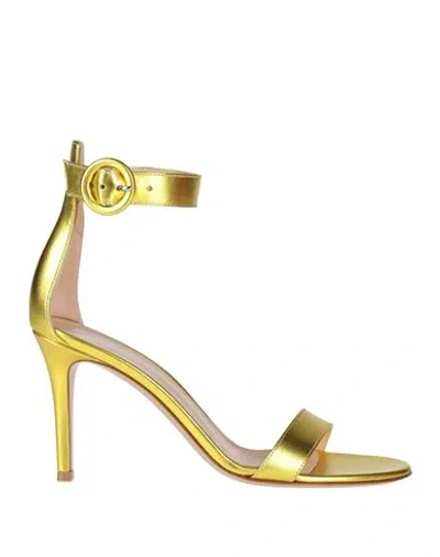 Gianvito Rossi Woman Sandals Yellow Size 8 Leather