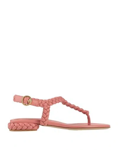 Gianvito Rossi Woman Thong Sandal Antique Rose Size 7 Leather In Pink
