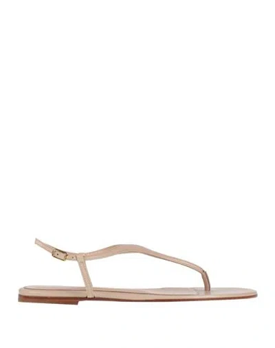 Gianvito Rossi Woman Thong Sandal Beige Size 8 Leather