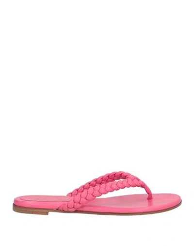 Gianvito Rossi Woman Toe Strap Sandals Fuchsia Size 7 Soft Leather In Pink