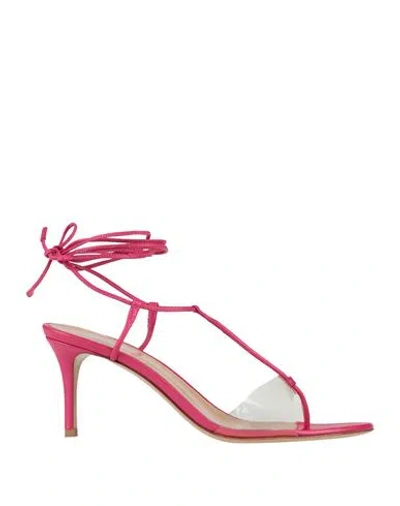 Gianvito Rossi Woman Thong Sandal Fuchsia Size 6.5 Leather, Plastic In Pink