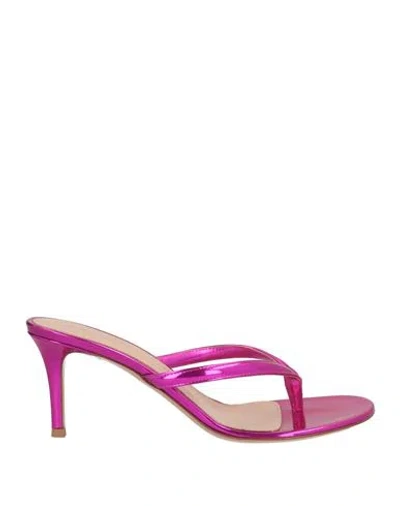 Gianvito Rossi Woman Thong Sandal Fuchsia Size 8 Leather In Pink