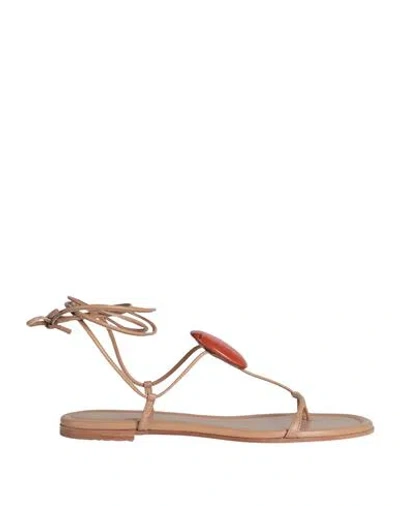 Gianvito Rossi Woman Thong Sandal Light Brown Size 8 Leather In Beige
