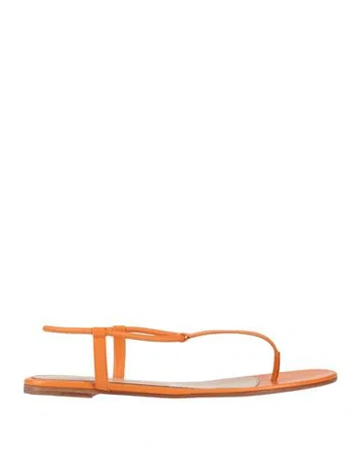 Gianvito Rossi Woman Thong Sandal Orange Size 6 Leather