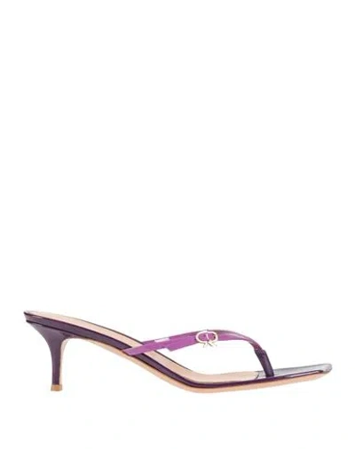 Gianvito Rossi Woman Thong Sandal Purple Size 11 Leather In Purple