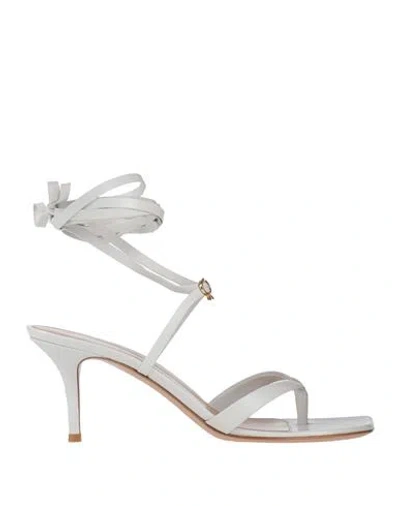 Gianvito Rossi Woman Thong Sandal White Size 8 Soft Leather