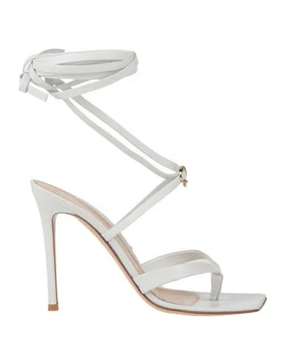 Gianvito Rossi Woman Thong Sandal White Size 6.5 Leather