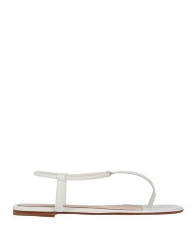 Gianvito Rossi Woman Thong Sandal White Size 6 Leather