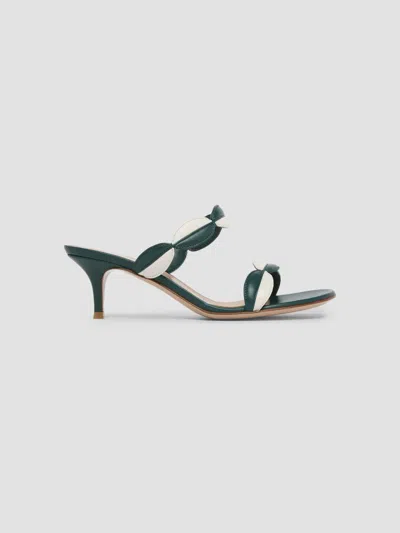 Gianvito Rossi Women's 55mm Colorblocked Leather Sandals In Off White Green