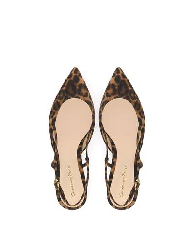Gianvito Rossi Women's Ascent 05 Flats In Animal Print