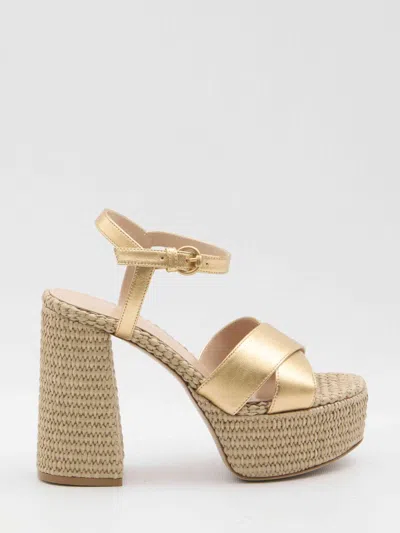 Gianvito Rossi Women Bebe Sandals