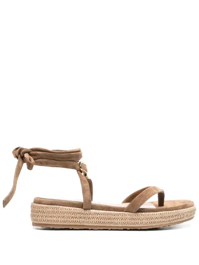 Gianvito Rossi Women Flat Sandal In Brown