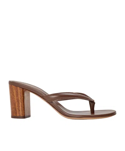 Gianvito Rossi Women's Flipflop 70h Flip Flops In Brown