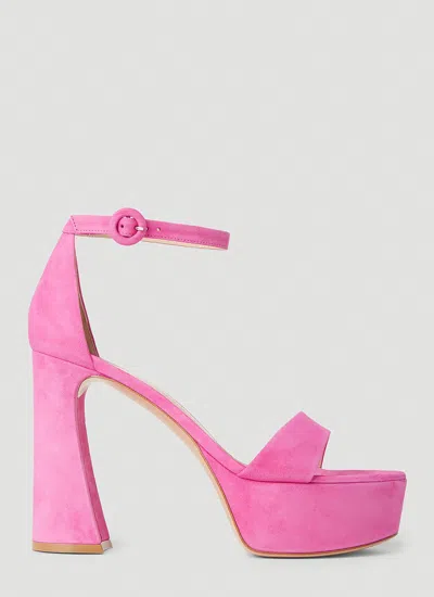 Gianvito Rossi Women Holly High Heel Sandals In Pink